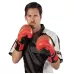 Перчатки для кикбоксинга CENTURY C-Gear Integrity WAKO-10