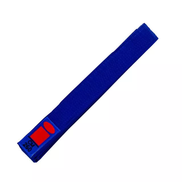 Пояс в Essimo Blue-260