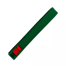 Пояс в Essimo Green-260