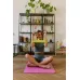 Фітнес резика 4yourhealth Mini Band Level 1 (1-3кг.) зелена