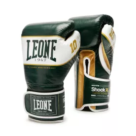 Боксерские перчатки Leone Shock X Green 10 ун.