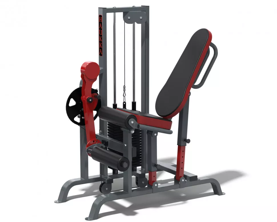 Сгибание/разгибание ног Rn-sport HAUKKA K266 Grey