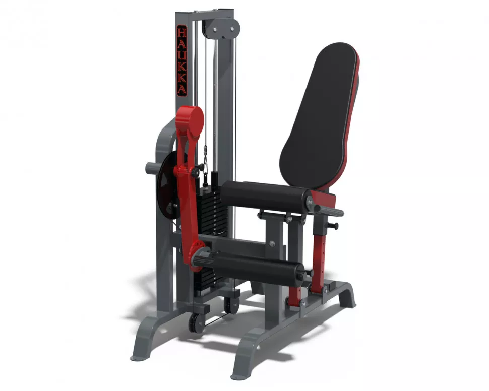 Сгибание/разгибание ног Rn-sport HAUKKA K266 Grey