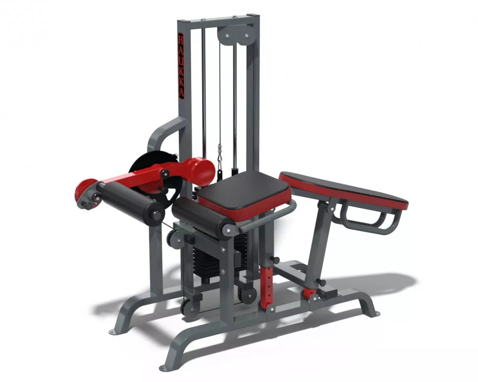 Сгибание/разгибание ног Rn-sport HAUKKA K266 Grey