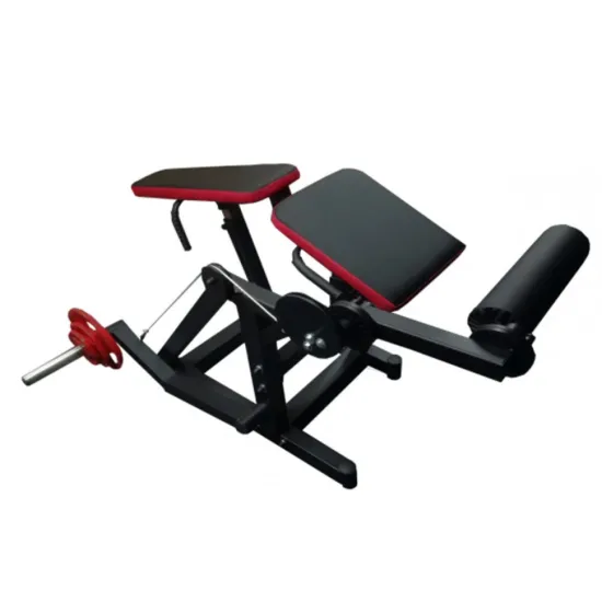 Сгибание-разгибание ног RN-SPORT imperium