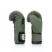 Боксерські рукавиці Fairtex BGV11 Green 10 унцій (бинти в комплекті)