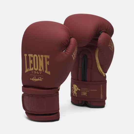 Боксерские перчатки Leone Mono Bord 10 ун.