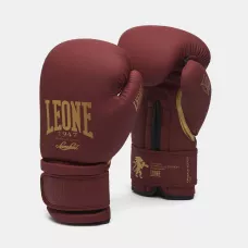 Боксерские перчатки Leone Mono Bord 14 ун.