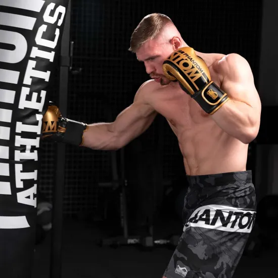 Боксерські рукавиці Phantom APEX Elastic Gold 10 унцій