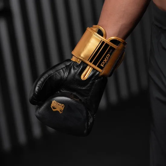 Боксерські рукавиці Phantom APEX Black/Gold 10 унцій