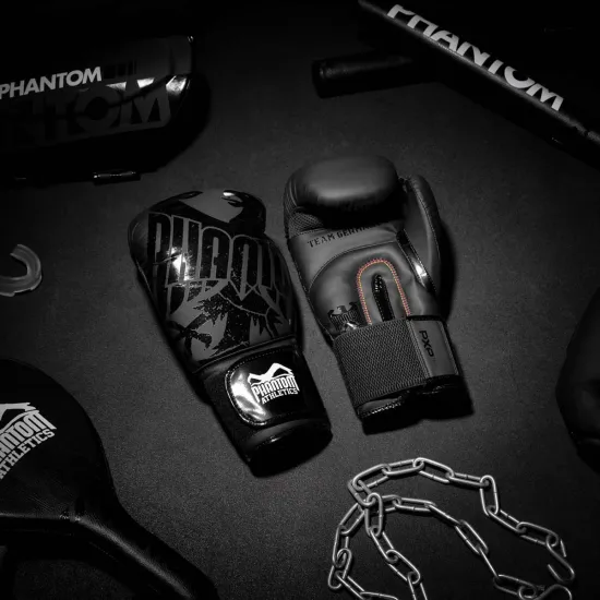 Боксерські рукавиці Phantom Germany Eagle Black 10 унцій