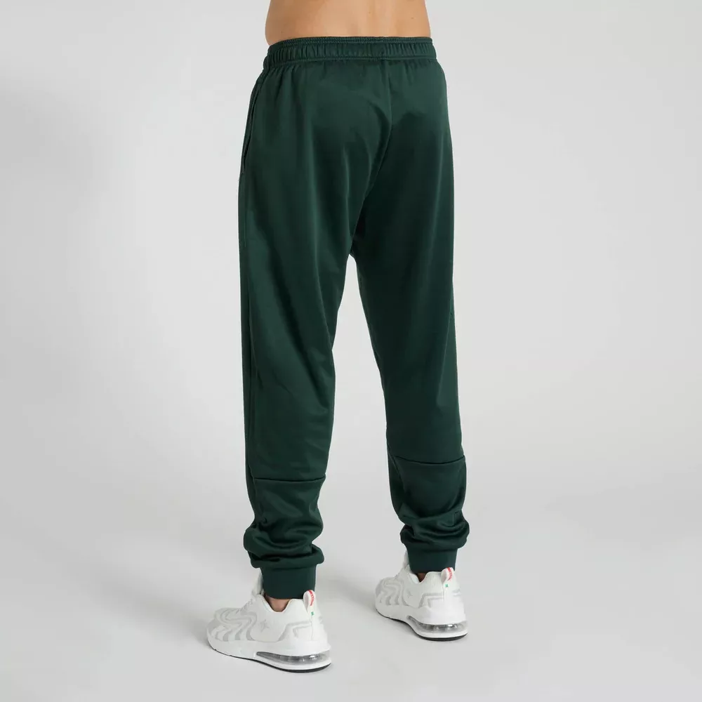 Спортивные штаны Leone Premium Green S