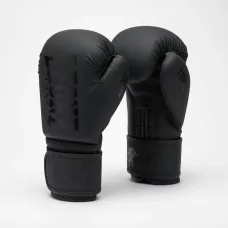 Боксерские перчатки Leone GN058 TONE X Black 14 унций