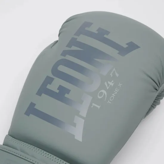 Боксерські рукавиці Leone GN058 TONE X Light grey 10 унцій