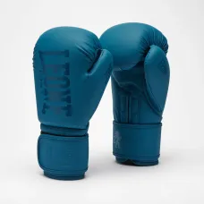 Боксерские перчатки Leone GN058 TONE X Teal 16 унций