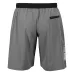 Шорты TITLE Boxing Velocity Shorts Grey-S