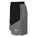 Шорты TITLE Boxing Velocity Shorts Grey-S