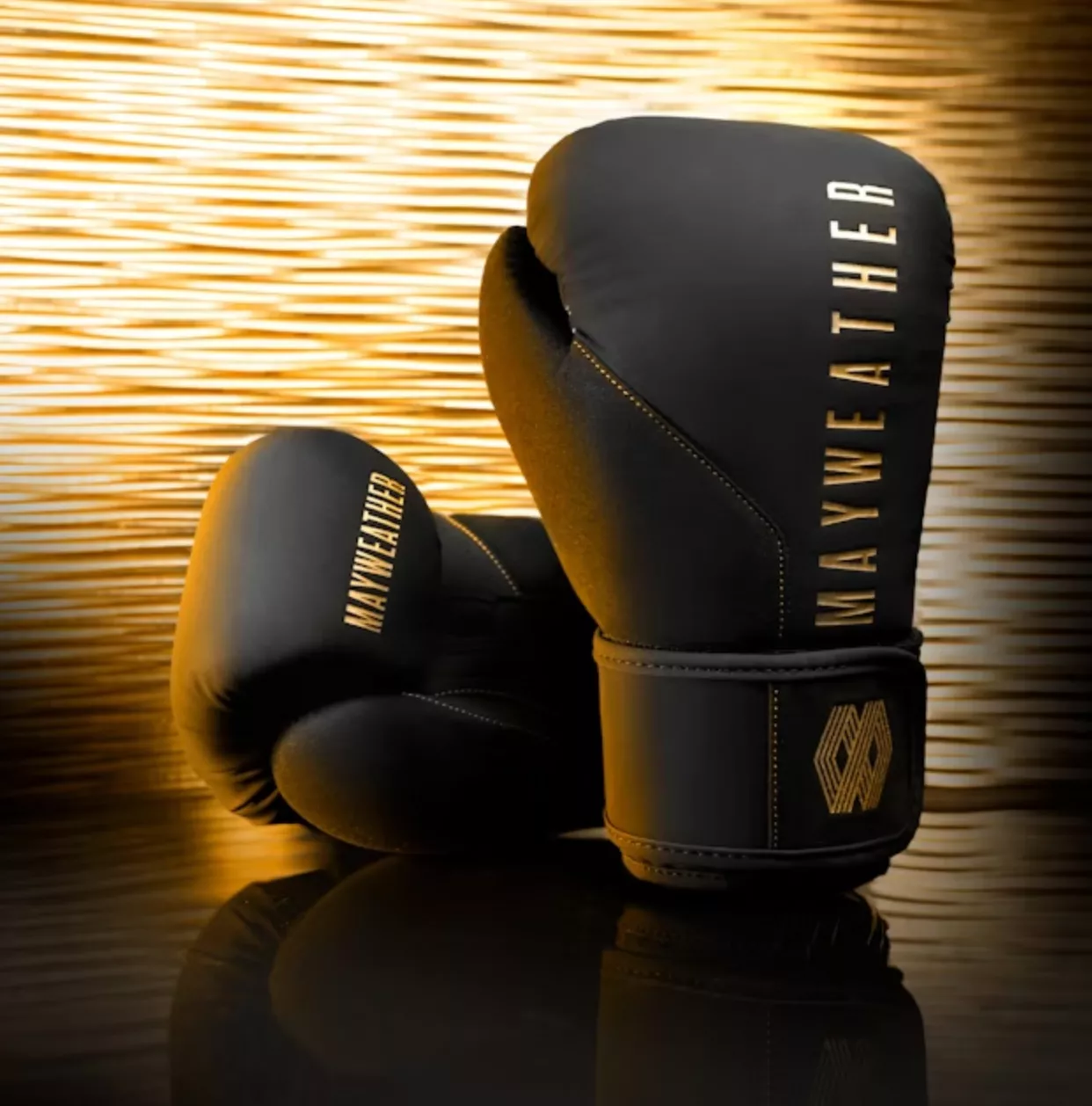 Перчатки для бокса Hayabusa Mayweather Champ Boxing Gloves-10