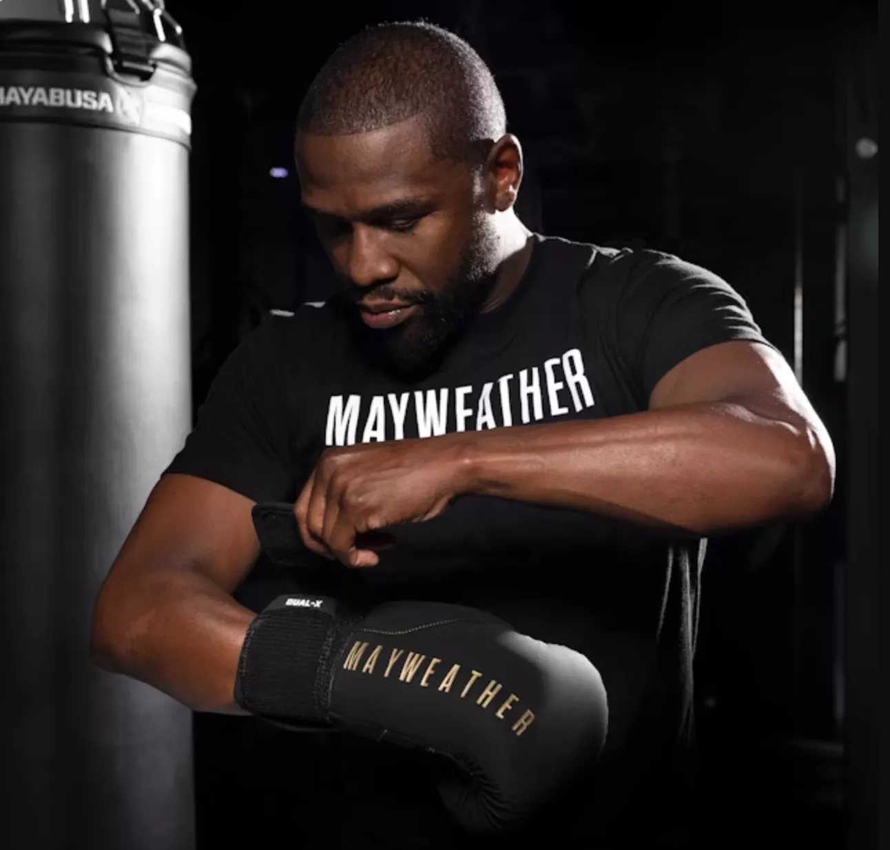 Перчатки для бокса Hayabusa Mayweather Champ Boxing Gloves-10