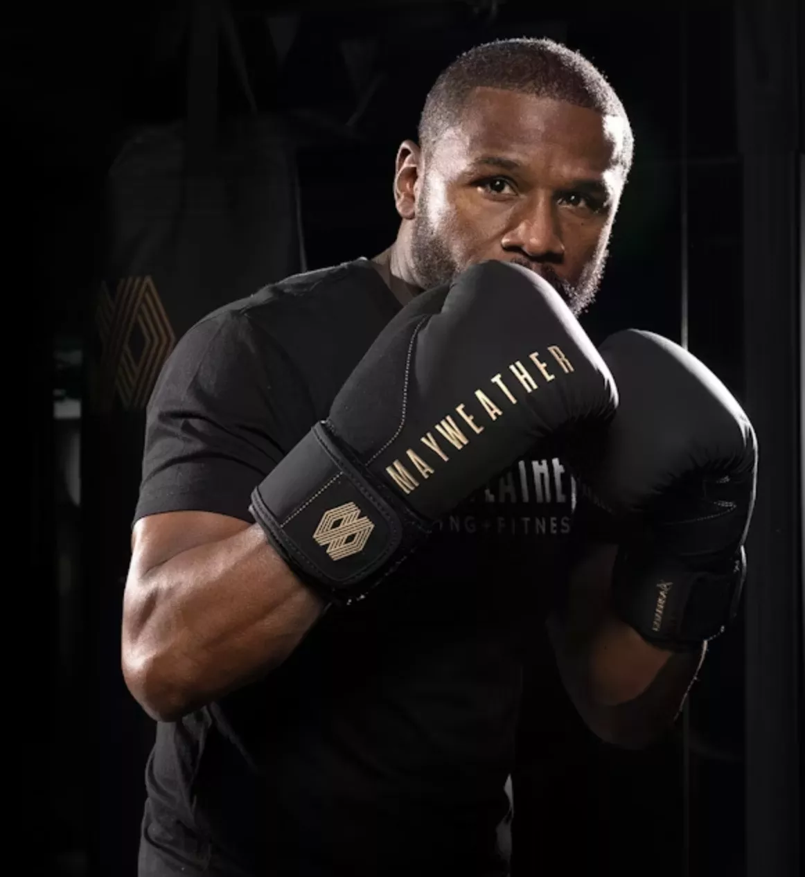 Перчатки для бокса Hayabusa Mayweather Champ Boxing Gloves-10