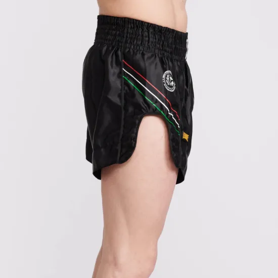 Шорти для тайського боксу Leone Flag Black S
