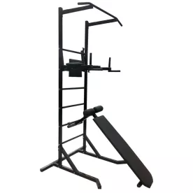 Турник, брусья и пресс, шведская стенка со скамьей Черная (40х40 мм)