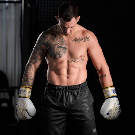 Боксерські рукавиці Phantom Muay Thai Gold Limited Edition 10 унцій
