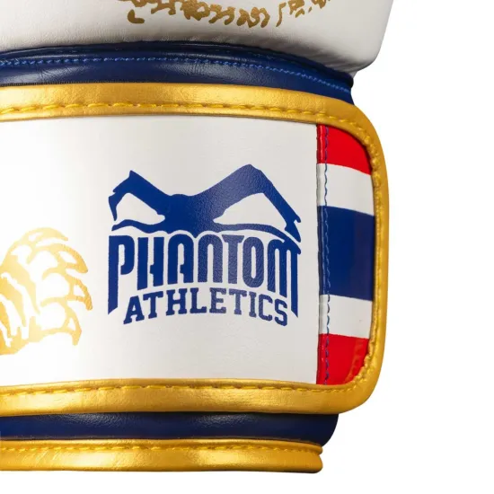 Боксерські рукавиці Phantom Muay Thai Gold Limited Edition 10 унцій