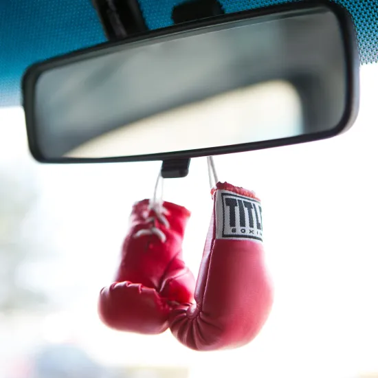 Брелок рукавички боксерські TITLE Mini Boxing Gloves Рожевий