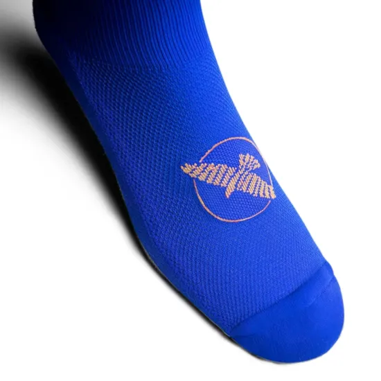 Носки Hayabusa Pro Boxing Socks Blue-39-41