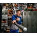 Боксерские палки TITLE Platinum Striking Sticks