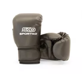 Перчатки для бокса Sportko ПД2-6