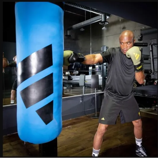 Боксерские перчатки ADIDAS X ANDERSON SILVA 50 Khaki-10 унций