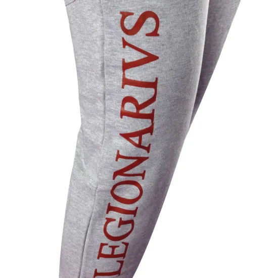 Спортивные штаны Leone Legionarivs Fleece Grey S