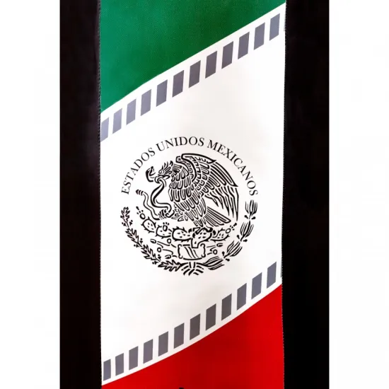 БОКСЕРСЬКИЙ МІШОК V`NOKS MEX PRO 120см 75кг