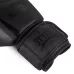 Боксерские перчатки SYTIN ClearBlow Black-8