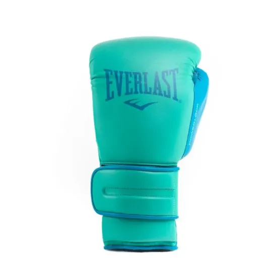 Перчатки для бокса Everlast Powerlock2 Pro Training Gloves Biscay-10