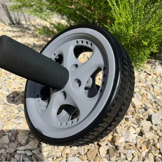 Колесо для преса PowerPlay PP-4345 Exercise Wheel (d16.5см) 