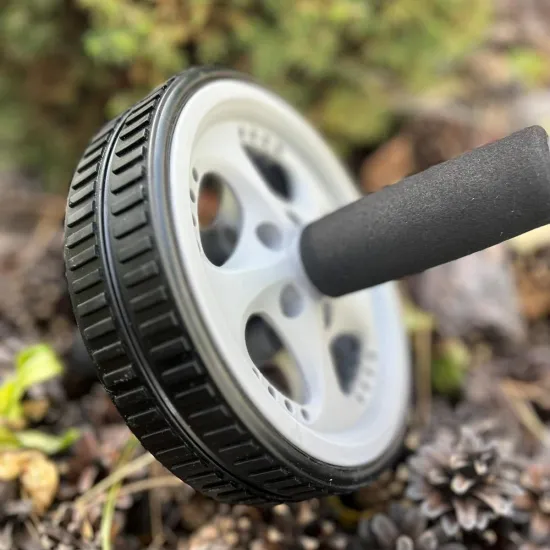 Колесо для преса PowerPlay PP-4345 Exercise Wheel (d16.5см) 