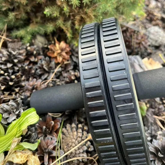 Колесо для преса PowerPlay PP-4345 Exercise Wheel (d16.5см) 