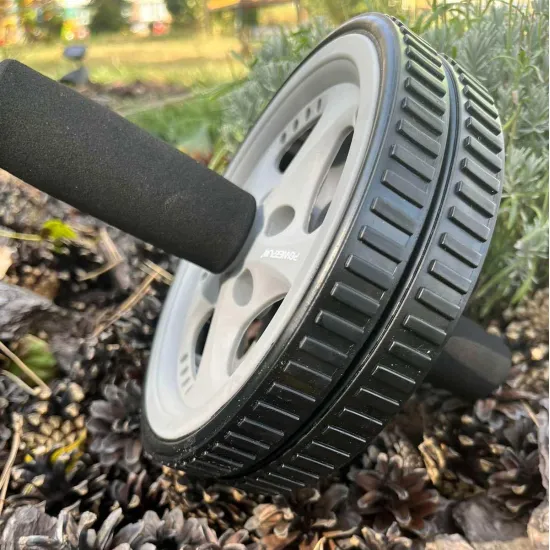 Колесо для преса PowerPlay PP-4345 Exercise Wheel (d16.5см) 
