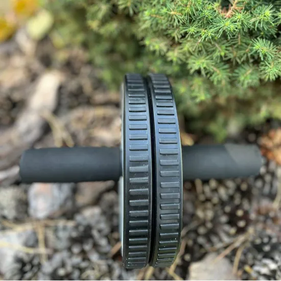 Колесо для преса PowerPlay PP-4345 Exercise Wheel (d16.5см) 