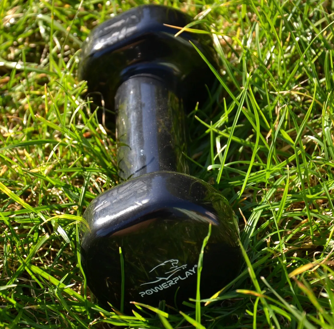 Гантель виниловая PowerPlay 1кг PP_4121 Черная (1шт.)