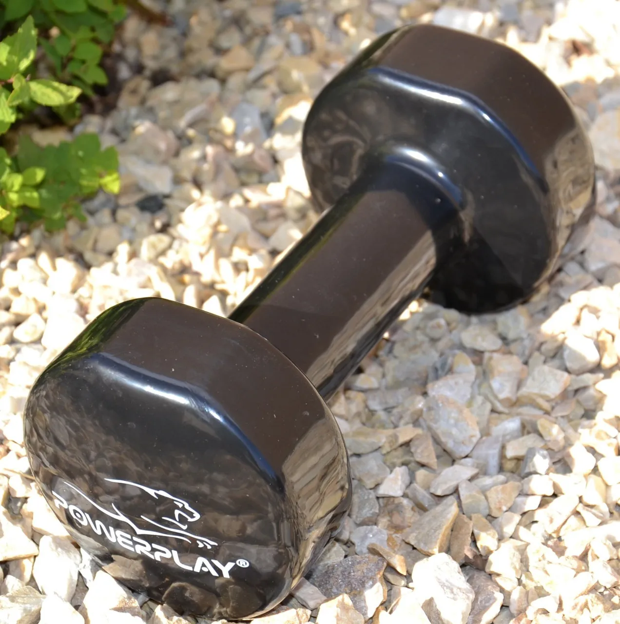 Гантель виниловая PowerPlay 1кг PP_4121 Черная (1шт.)