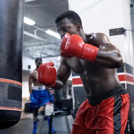 Боксерские перчатки Hayabusa Pro Boxing Gloves Red-12 унций