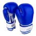 Боксерські рукавички PowerPlay 3004 JR синьо-білі 6 унцій