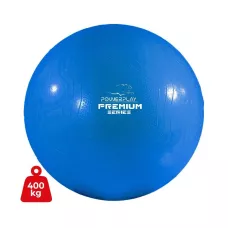 М'яч для фітнесу міцний PowerPlay 4000 Premium 65 см Синій + насос