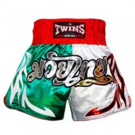 Шорты для тайского бокса Twins T-48-S