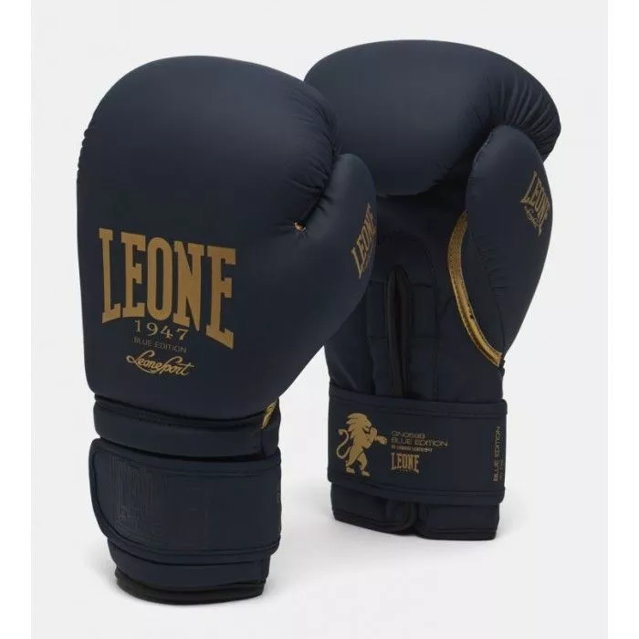 Боксерские перчатки Leone Mono Blue-10