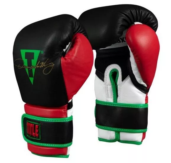 Боксерские перчатки TITLE Oscar De La Hoya Signature Gloves-14